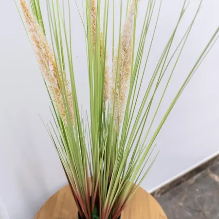 Delux 아파트 발렌시아